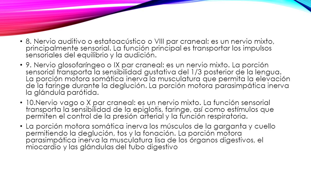 8. Nervio auditivo o estatoacústico o VIII par craneal: es un nervio mixto, principalmente sensorial. La función principal es transportar los impulsos sensoriales del equilibrio y la audición.