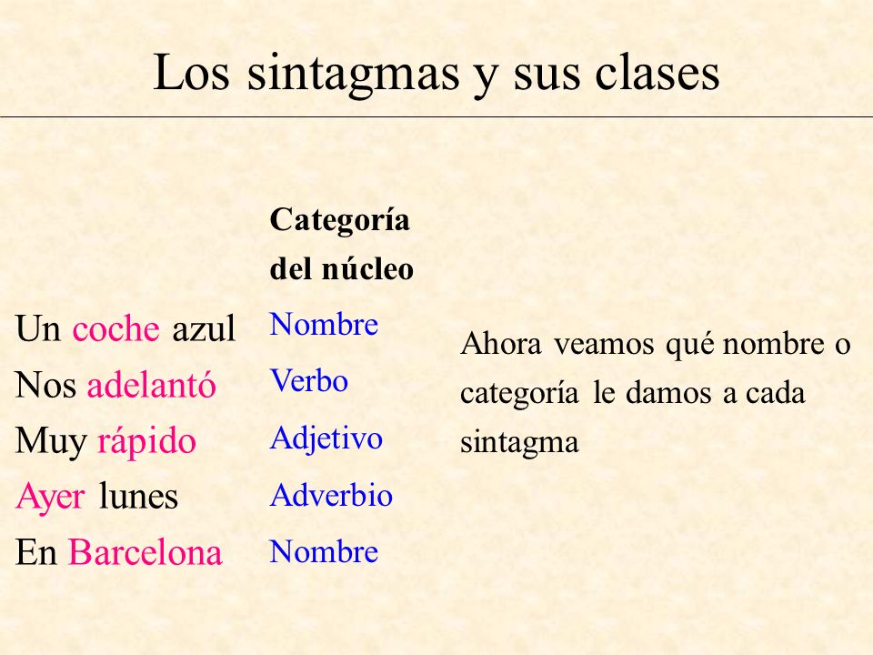 Los sintagmas y sus clases