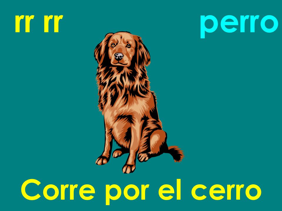 rr rr perro Corre por el cerro