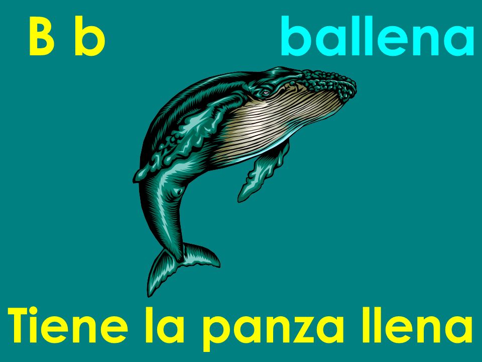 B b ballena Tiene la panza llena