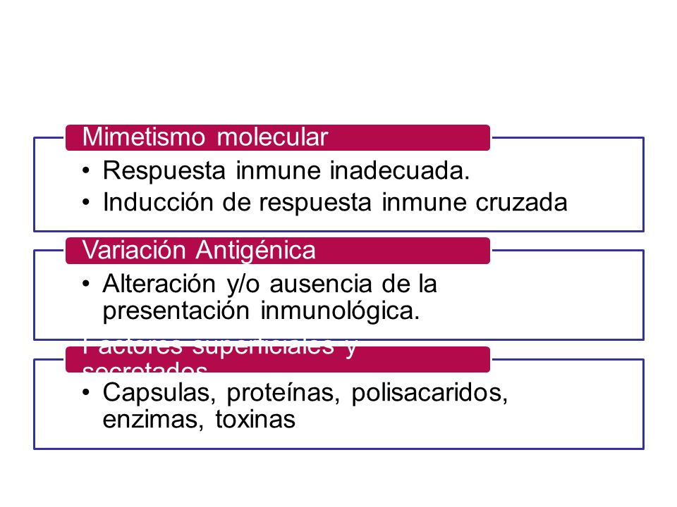 Mimetismo molecular Respuesta inmune inadecuada. Inducción de respuesta inmune cruzada. Variación Antigénica.