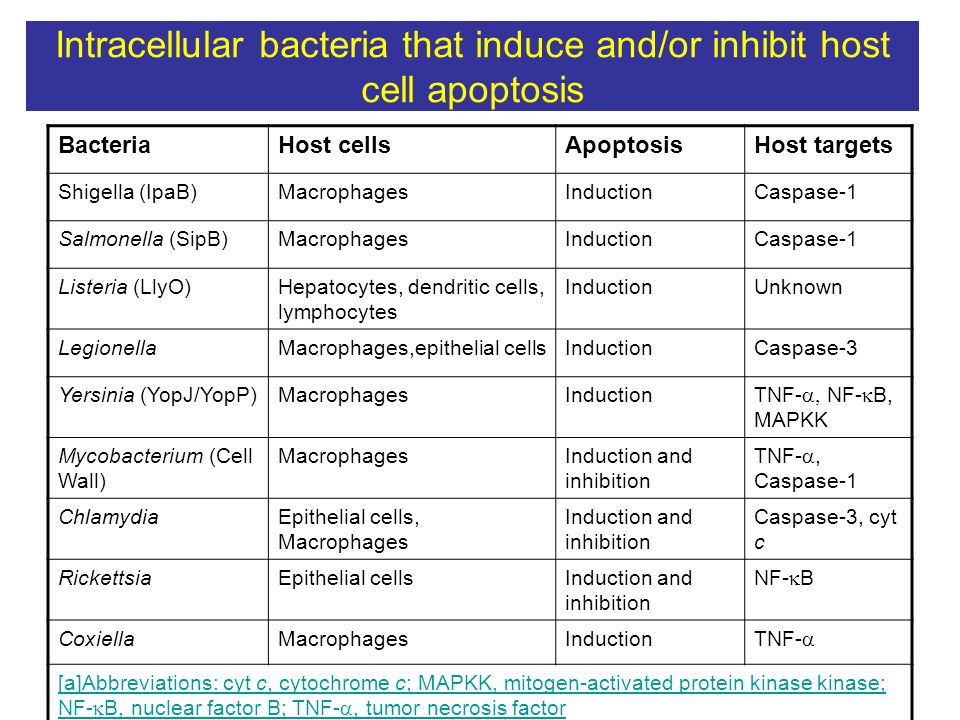 Intracellular bacteria that induce and/or inhibit host cell apoptosis