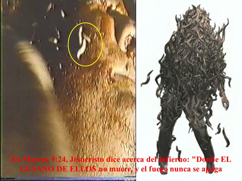 En Marcos 9:24, Jesucristo dice acerca del Infierno: Donde EL GUSANO DE ELLOS no muere, y el fuego nunca se apaga