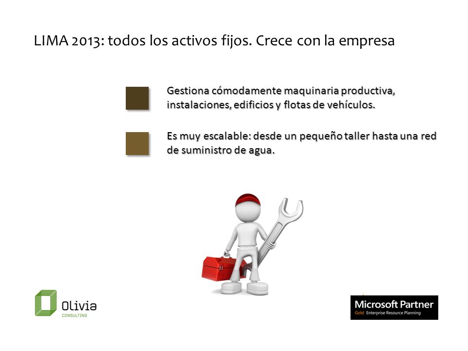 LIMA 2013: todos los activos fijos. Crece con la empresa