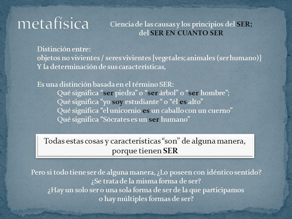 metafísica Todas estas cosas y características son de alguna manera,