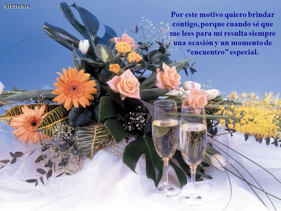 Por este motivo quiero brindar contigo, porque cuando sé que me lees para mí resulta siempre una ocasión y un momento de encuentro especial.