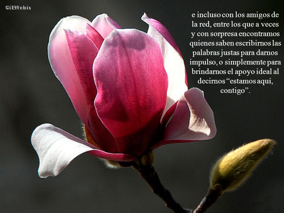 e incluso con los amigos de la red, entre los que a veces y con sorpresa encontramos quienes saben escribirnos las palabras justas para darnos impulso, o simplemente para brindarnos el apoyo ideal al decirnos estamos aquí, contigo .