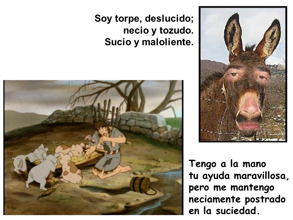 Soy torpe, deslucido; necio y tozudo. Sucio y maloliente. Tengo a la mano. tu ayuda maravillosa,