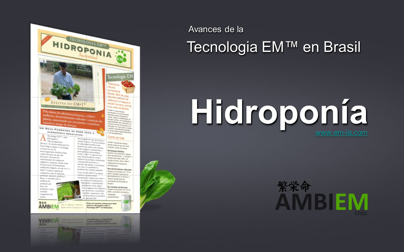 Avances de la Tecnologia EM™ en Brasil Hidroponía