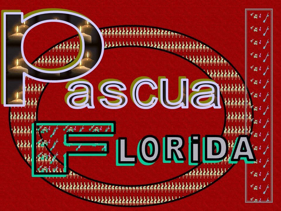 p C u a s a F O R i D A L