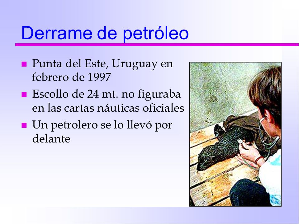 Derrame de petróleo Punta del Este, Uruguay en febrero de 1997