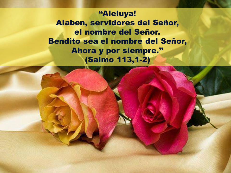 Alaben, servidores del Señor, el nombre del Señor.