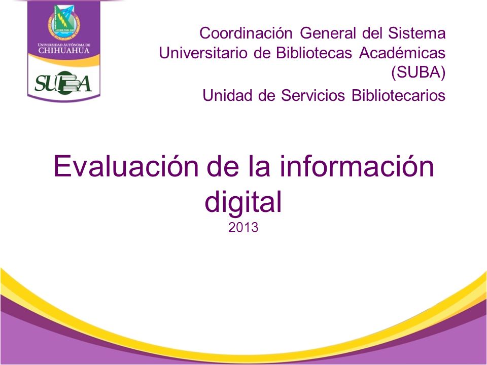 Evaluación de la información digital 2013