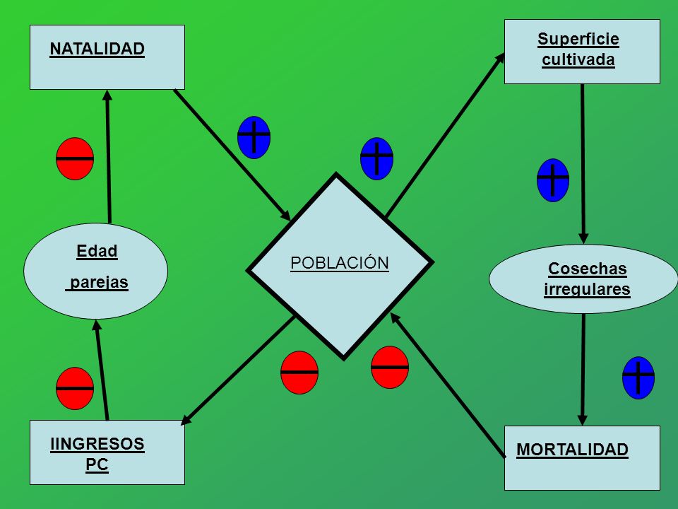 Superficie cultivada NATALIDAD Edad parejas Cosechas irregulares POBLACIÓN IINGRESOS PC MORTALIDAD