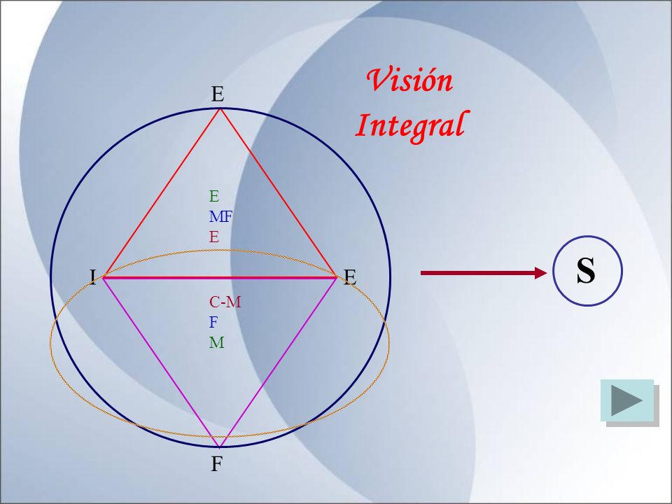 Visión Integral E E MF S I E C-M F M F