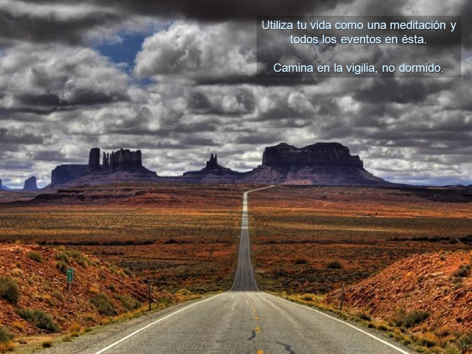 Utiliza tu vida como una meditación y todos los eventos en ésta.