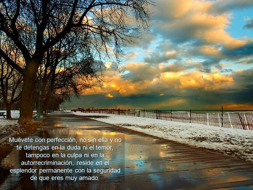Muévete con perfección, no sin ella y no te detengas en la duda ni el temor, tampoco en la culpa ni en la autorrecriminación, reside en el esplendor permanente con la seguridad de que eres muy amado.