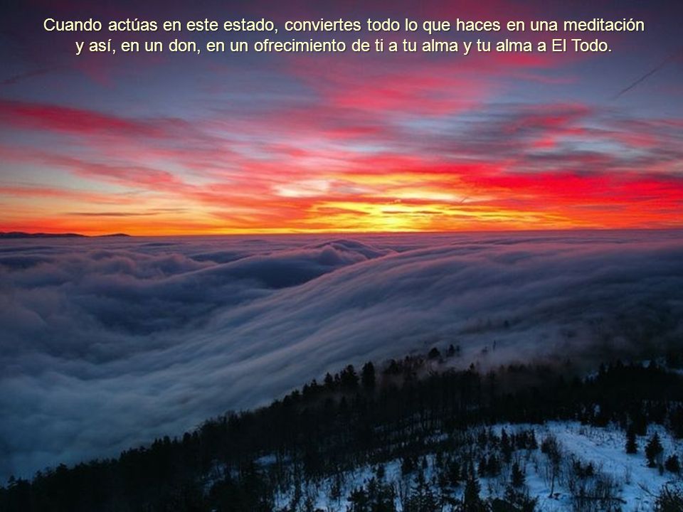Cuando actúas en este estado, conviertes todo lo que haces en una meditación y así, en un don, en un ofrecimiento de ti a tu alma y tu alma a El Todo.