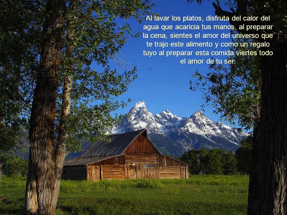 Al lavar los platos, disfruta del calor del agua que acaricia tus manos, al preparar la cena, sientes el amor del universo que te trajo este alimento y como un regalo tuyo al preparar esta comida viertes todo el amor de tu ser.