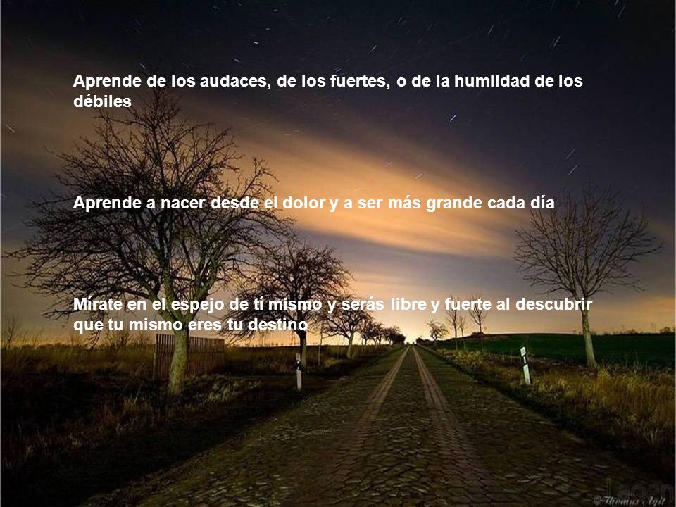 Aprende de los audaces, de los fuertes, o de la humildad de los débiles