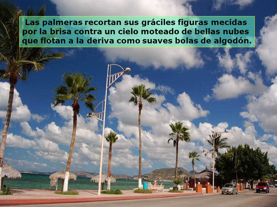 Las palmeras recortan sus gráciles figuras mecidas