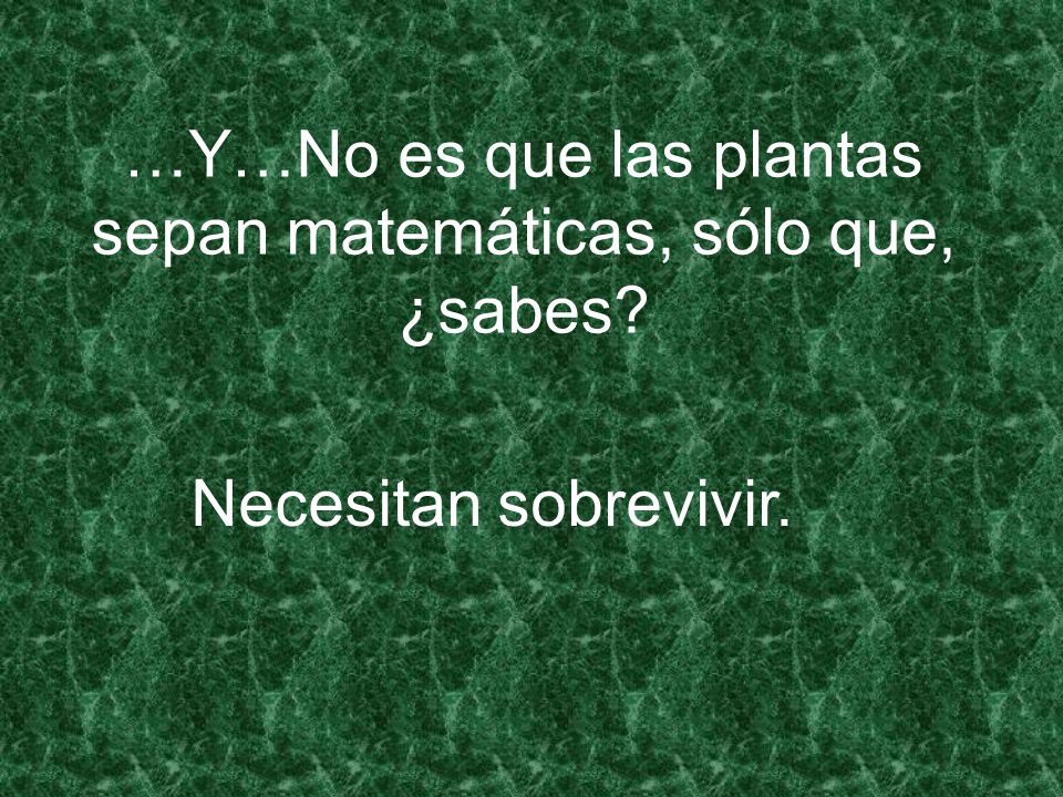 …Y…No es que las plantas sepan matemáticas, sólo que, ¿sabes
