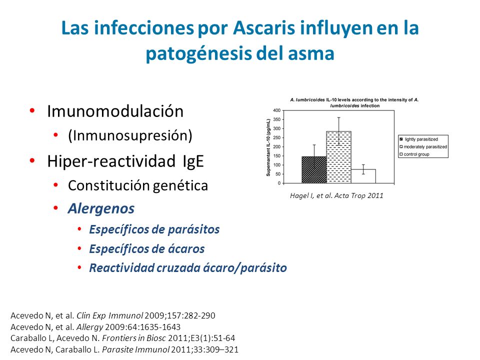 Las infecciones por Ascaris influyen en la patogénesis del asma
