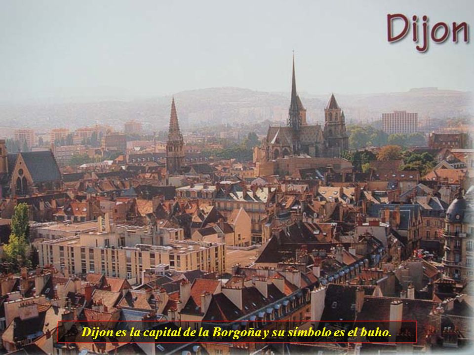 Dijon es la capital de la Borgoña y su símbolo es el buho.