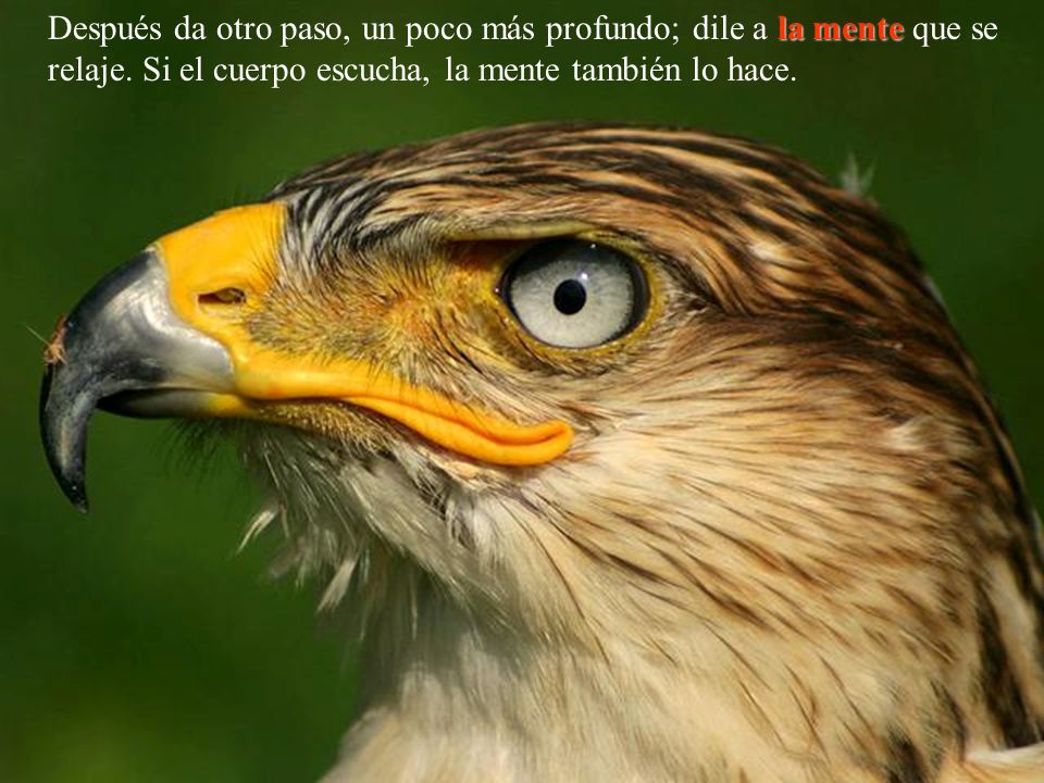Después da otro paso, un poco más profundo; dile a la mente que se relaje.