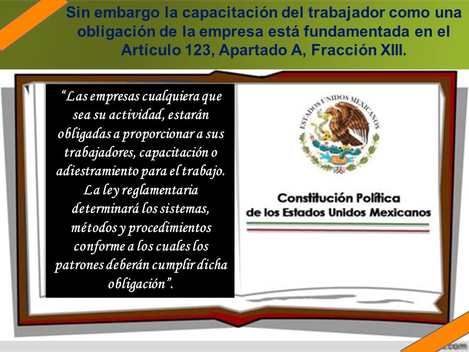 Sin embargo la capacitación del trabajador como una obligación de la empresa está fundamentada en el Artículo 123, Apartado A, Fracción XIII.