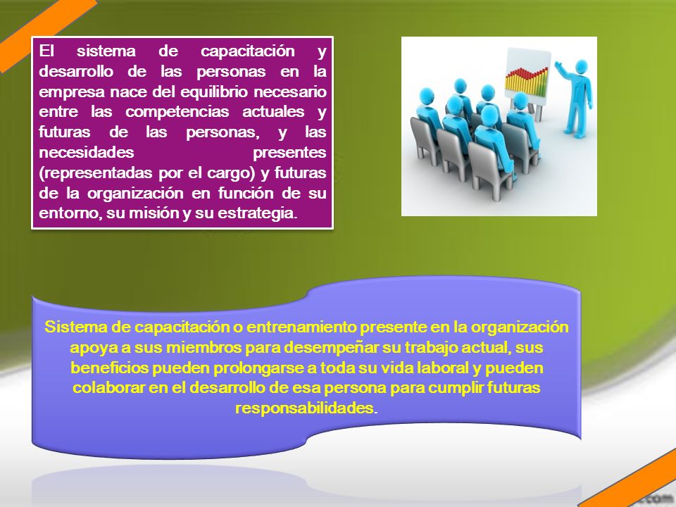 El sistema de capacitación y desarrollo de las personas en la empresa nace del equilibrio necesario entre las competencias actuales y futuras de las personas, y las necesidades presentes (representadas por el cargo) y futuras de la organización en función de su entorno, su misión y su estrategia.