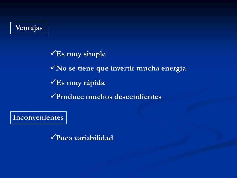 Ventajas Es muy simple. No se tiene que invertir mucha energía. Es muy rápida. Produce muchos descendientes.