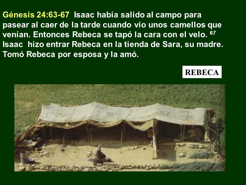 Génesis 24:63-67 Isaac había salido al campo para pasear al caer de la tarde cuando vio unos camellos que venían. Entonces Rebeca se tapó la cara con el velo. 67 Isaac hizo entrar Rebeca en la tienda de Sara, su madre. Tomó Rebeca por esposa y la amó.