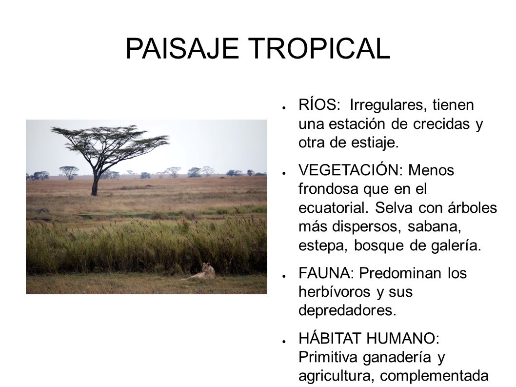 PAISAJE TROPICAL RÍOS: Irregulares, tienen una estación de crecidas y otra de estiaje.