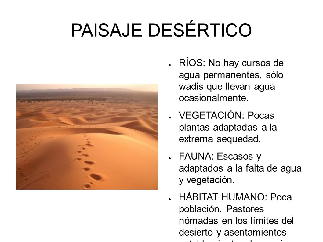 PAISAJE DESÉRTICO RÍOS: No hay cursos de agua permanentes, sólo wadis que llevan agua ocasionalmente.