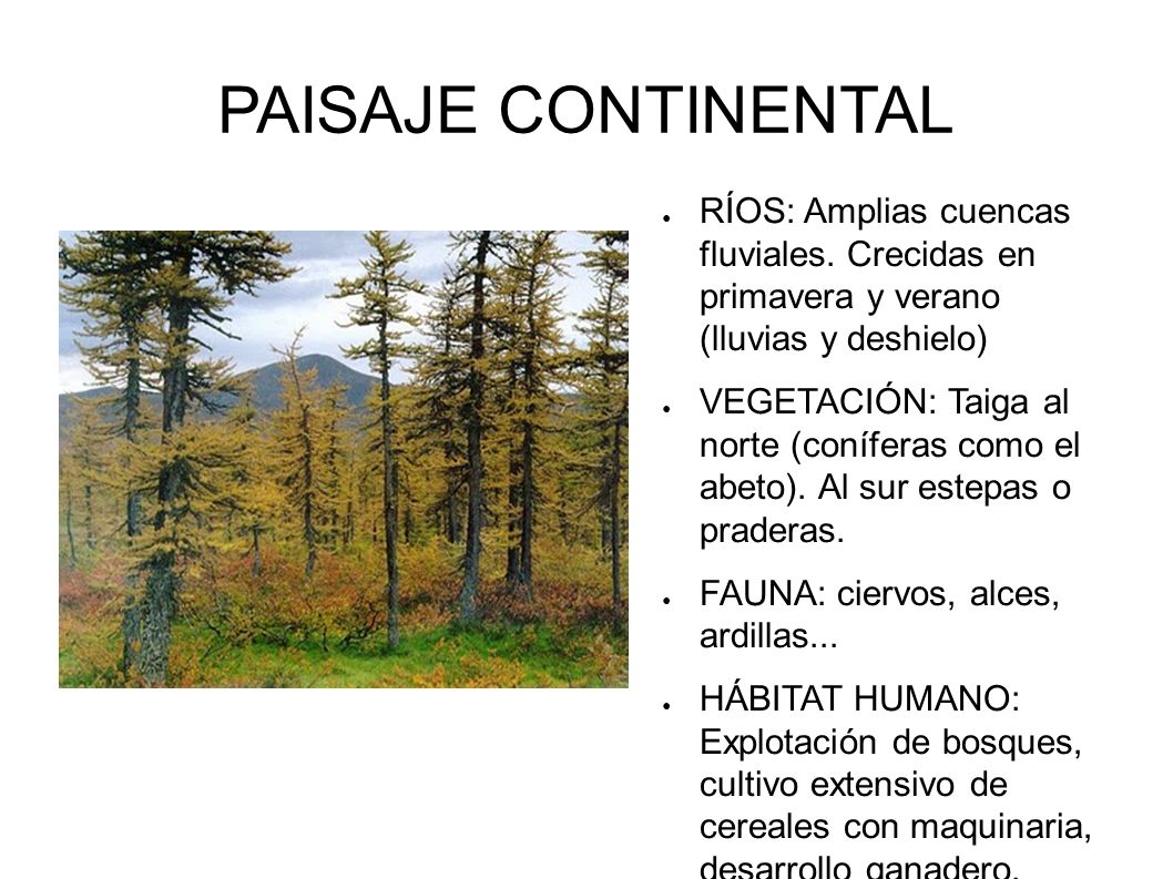 PAISAJE CONTINENTAL RÍOS: Amplias cuencas fluviales. Crecidas en primavera y verano (lluvias y deshielo)