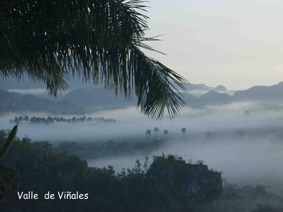 Valle de Viñales