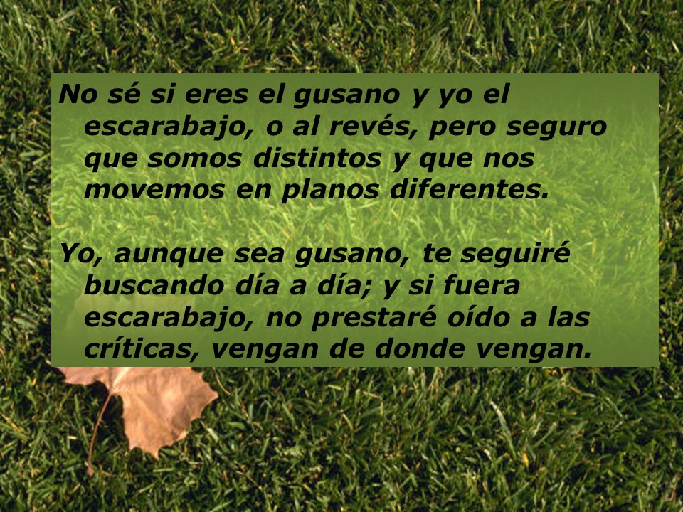 No sé si eres el gusano y yo el escarabajo, o al revés, pero seguro que somos distintos y que nos movemos en planos diferentes.