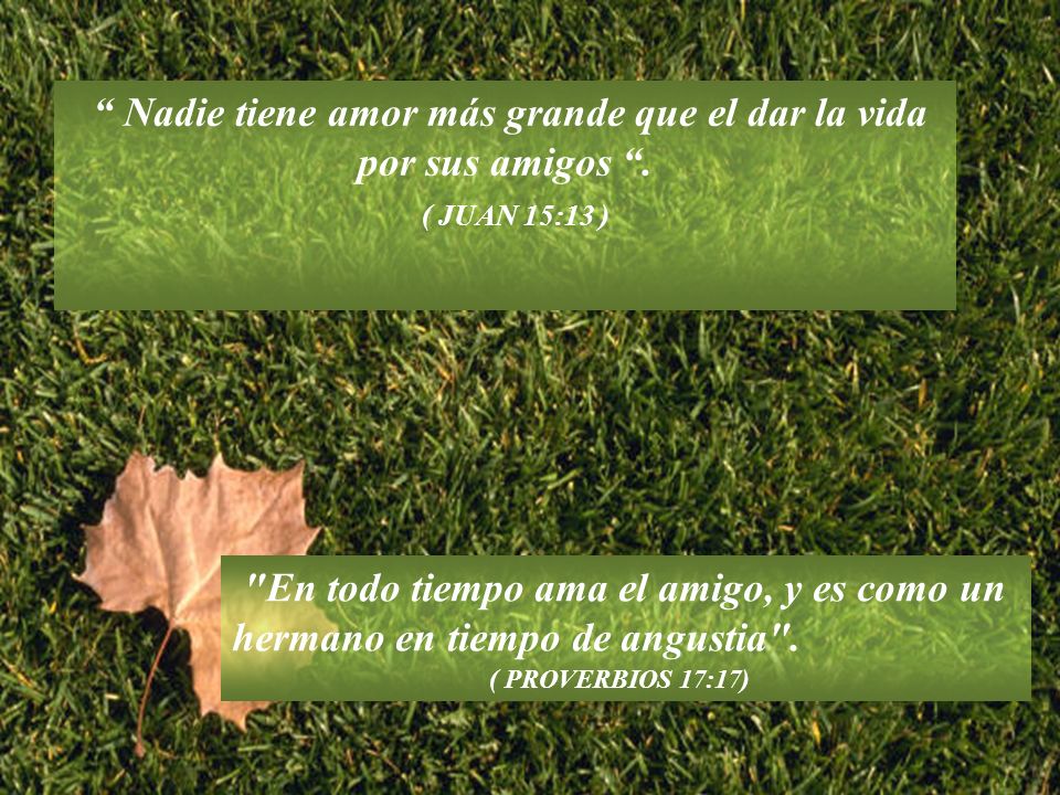 Nadie tiene amor más grande que el dar la vida por sus amigos .