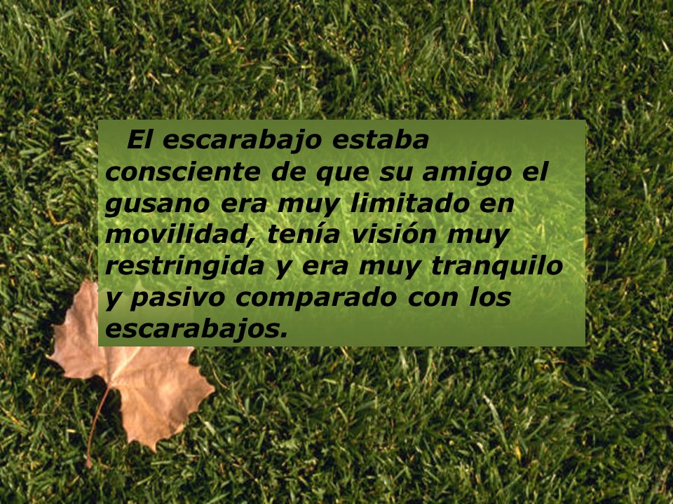El escarabajo estaba consciente de que su amigo el gusano era muy limitado en movilidad, tenía visión muy restringida y era muy tranquilo y pasivo comparado con los escarabajos.