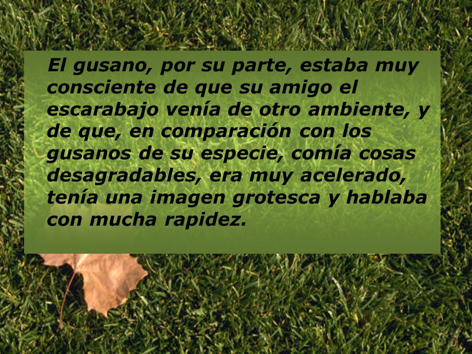 El gusano, por su parte, estaba muy consciente de que su amigo el escarabajo venía de otro ambiente, y de que, en comparación con los gusanos de su especie, comía cosas desagradables, era muy acelerado, tenía una imagen grotesca y hablaba con mucha rapidez.