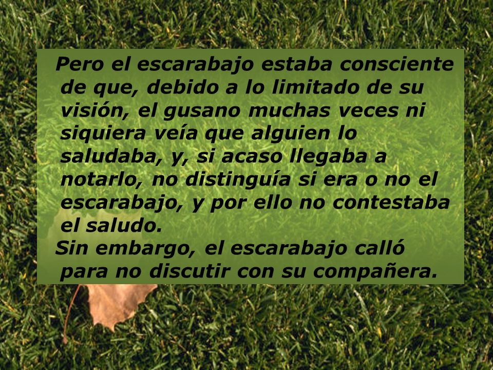 Pero el escarabajo estaba consciente de que, debido a lo limitado de su visión, el gusano muchas veces ni siquiera veía que alguien lo saludaba, y, si acaso llegaba a notarlo, no distinguía si era o no el escarabajo, y por ello no contestaba el saludo.