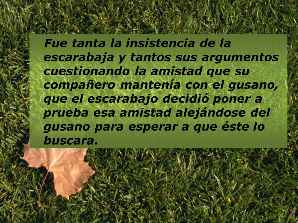 Fue tanta la insistencia de la escarabaja y tantos sus argumentos cuestionando la amistad que su compañero mantenía con el gusano, que el escarabajo decidió poner a prueba esa amistad alejándose del gusano para esperar a que éste lo buscara.