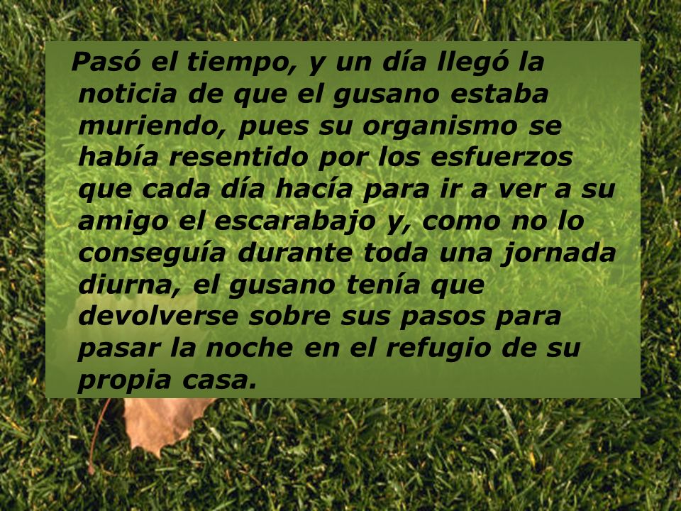 Pasó el tiempo, y un día llegó la noticia de que el gusano estaba muriendo, pues su organismo se había resentido por los esfuerzos que cada día hacía para ir a ver a su amigo el escarabajo y, como no lo conseguía durante toda una jornada diurna, el gusano tenía que devolverse sobre sus pasos para pasar la noche en el refugio de su propia casa.