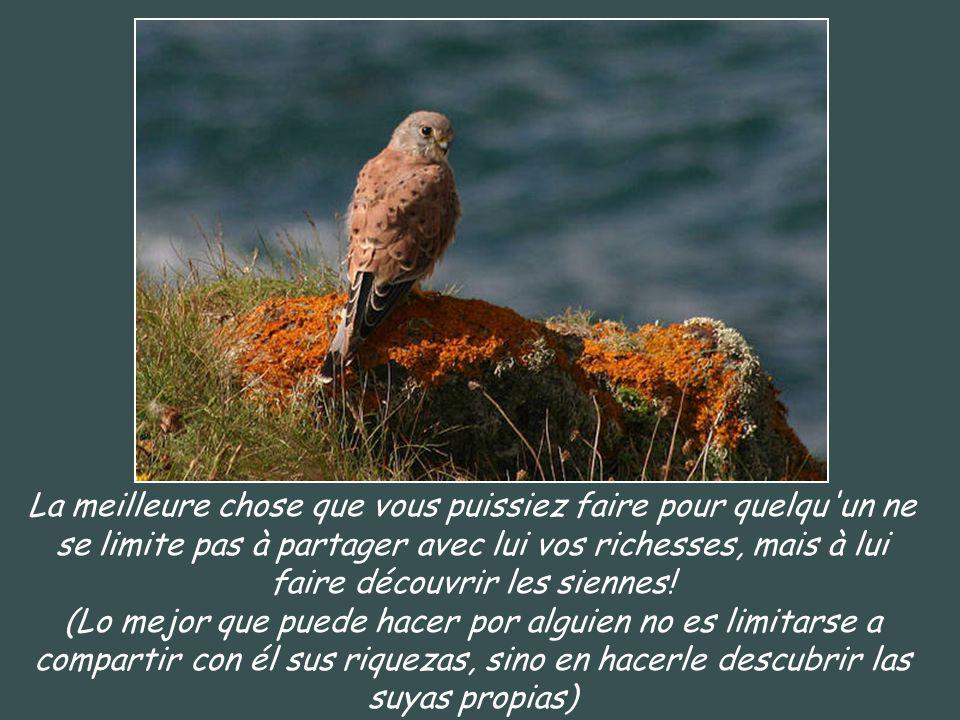 La meilleure chose que vous puissiez faire pour quelqu un ne se limite pas à partager avec lui vos richesses, mais à lui faire découvrir les siennes.