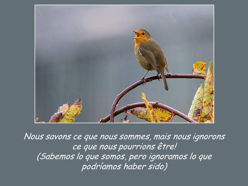 Nous savons ce que nous sommes, mais nous ignorons ce que nous pourrions être.