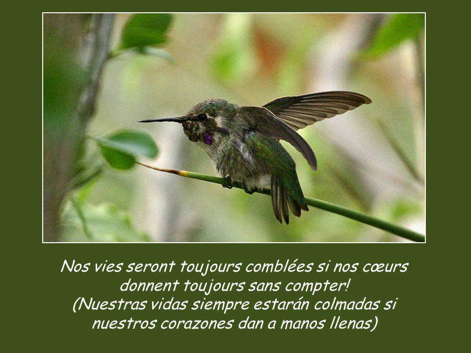 Nos vies seront toujours comblées si nos cœurs donnent toujours sans compter.