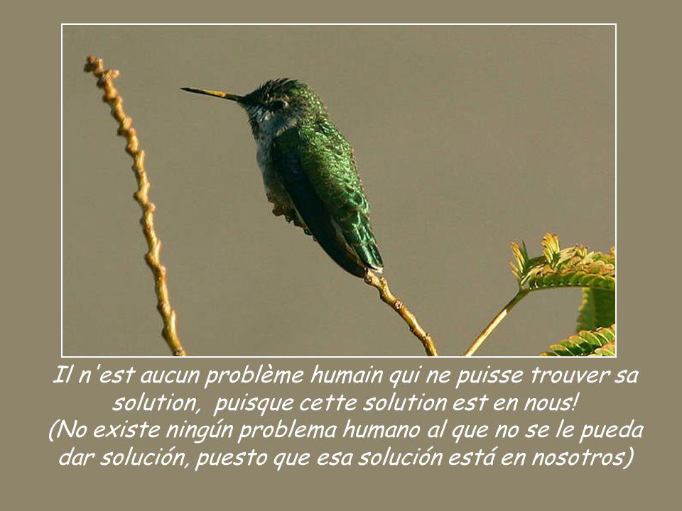 Il n est aucun problème humain qui ne puisse trouver sa solution, puisque cette solution est en nous.