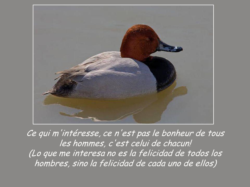 Ce qui m intéresse, ce n est pas le bonheur de tous les hommes, c est celui de chacun.