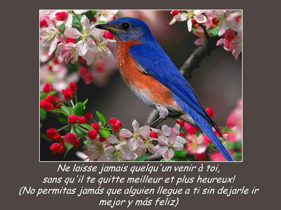 Ne laisse jamais quelqu un venir à toi, sans qu il te quitte meilleur et plus heureux.